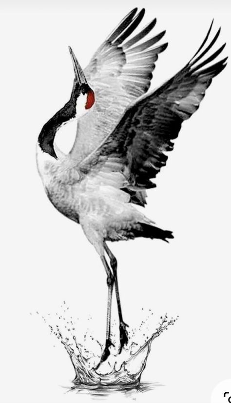 Crane Painting, Crane Drawing, Heron Tattoo, Crane Tattoo, Vogel Tattoo, Back Tats, Black Bird Tattoo, Heron Art, Zen Painting