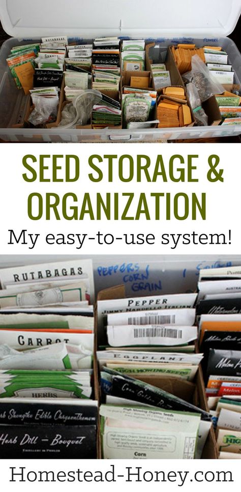 Keep your gardening seeds organized and and stored neatly and safely with this simple seed storage and organization system. | Homestead Honey Organisation, Permaculture, Homestead Animals, Saving Seeds, Growing Food Indoors, Gardening Seeds, Vegetable Garden Planner, Seed Storage, Hydroponic Farming