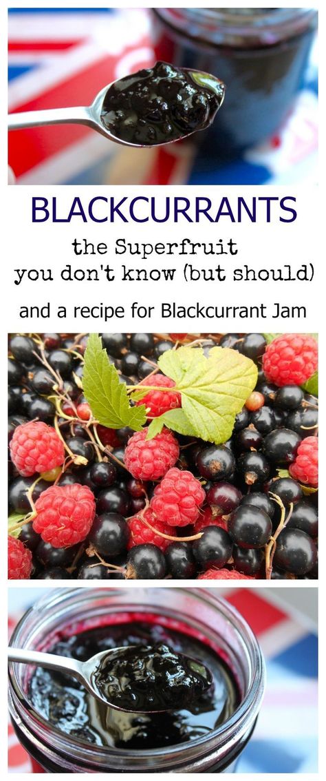 Currant Jam Recipes, Black Currant Jelly Recipe, Black Currant Jelly, Black Currant Jam Recipes, Blackcurrant Recipes, Black Currents, Black Currant Recipes, Fruit Combos, Black Currant Jam