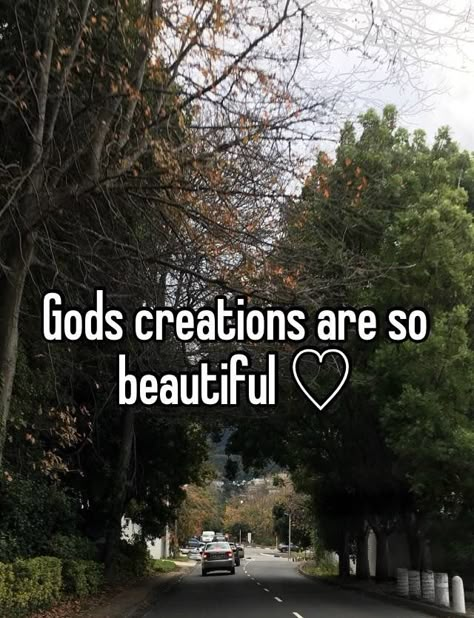 God Is The Best Artist, God Pfp, Christian Whispers, God Is An Artist, Dark Moments, Birds Chirping, Christian Board, The Howling, Christian Quotes God