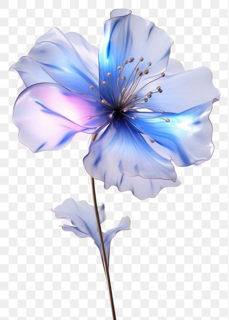 Genshin Flowers Png, Flowers With Transparent Background, Holographic Flowers, Bg Background, Imessage Stickers, Magic Concept, Flower Png Transparent Background, Blue Butterfly Transparent Background, Imessage Sticker