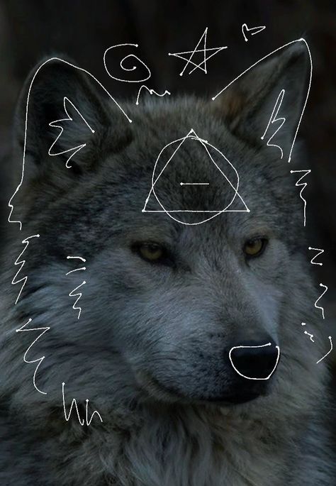 Made by me !! Please do not repost. #therian #theriotype #therianthrophy #wolf #greywolf #wolftherian #wolftheriotype #greywolftherian Art, Wolf Therian, Be Serious, A Wolf, Made By Me