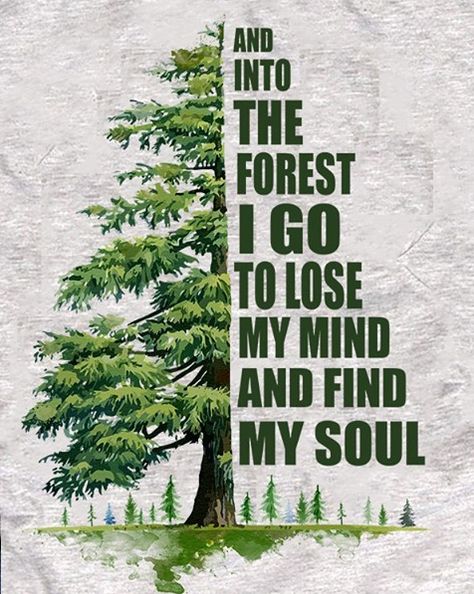 And into the forest I go to lose my mind & find my soul. Fog Painting, Warrior Goddess Training, John Muir Quotes, Wanderlust Quotes, Forest Bathing, John Muir, Nature Quotes, Lose My Mind, The Question