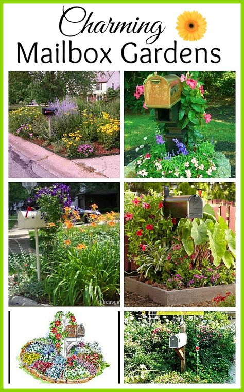 Thinking of selling your home? How about adding some curb appeal with one of these mailbox gardens? Mailbox Border Ideas, Mailbox Landscaping Perennial, Plants By Mailbox Curb Appeal, Plants For Mailbox Area, Mailbox Ideas Curb Appeal Landscaping, Flower Box Around Mailbox Ideas, Plants Around Mailbox Curb Appeal, Mail Box Landscaping Curb Appeal, Garden Tool Mailbox Ideas