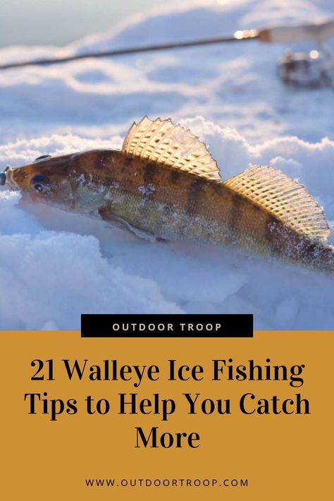 Planning on going walleye fishing soon? In this article we list 21 tips to help you be successful on your next trip! #walleyefishing #fishing #outdoor Ice Fishing Humor, Ice Fishing Walleye, Ice Fishing Diy, Ice Fishing Shack, Walleye Fishing Tips, Ice Fishing Tips, Fish Chart, Ice Fishing Gear, Fishing Tricks