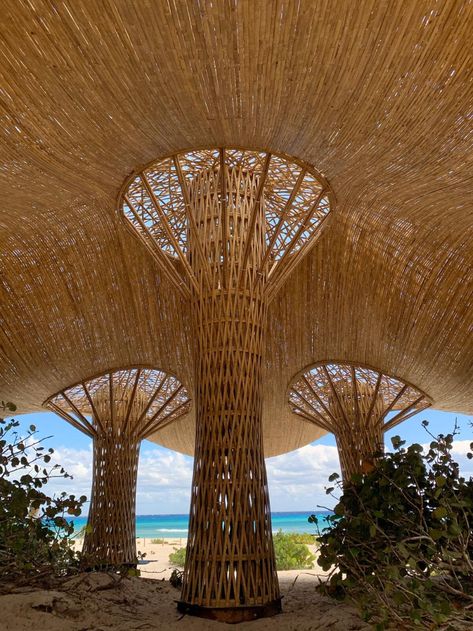 Arquitectura Mixta - architects — Better Bamboo Buildings Bamboo Design Ideas, Luxury Tree Houses, Bamboo Building, Bamboo House Design, Bamboo Structure, Bamboo Architecture, Organic Structure, Pavilion Design, Bamboo Art