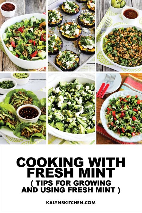 Pinterest image for Cooking with Fresh Mint, showing 6 photos of recipes with mint. Meditranian Recipes, Spearmint Recipes, Using Fresh Mint, Mint Recipes Fresh, Ideas For Cooking, Fresh Herb Recipes, Cooking With Fresh Herbs, Mint Herb, Growing Mint