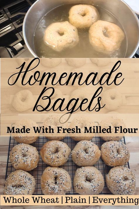 homemade bagels made with fresh milled whole wheat flour with everything seasoning Wheat Berry Recipes, Ancient Grains Recipes, Fresh Milled Flour, Basic Bread Recipe, Everything Seasoning, Everything Bagels, Sourdough Bagels, Healthy Flour, Wheat Recipes