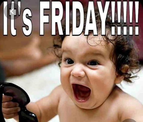 Happy Friday Meme, Happy Friday Humour, Friday Memes, Friday Dance, Friday Wishes, Friday Meme, Friday Pictures, Funny Friday Memes, Good Morning Friday