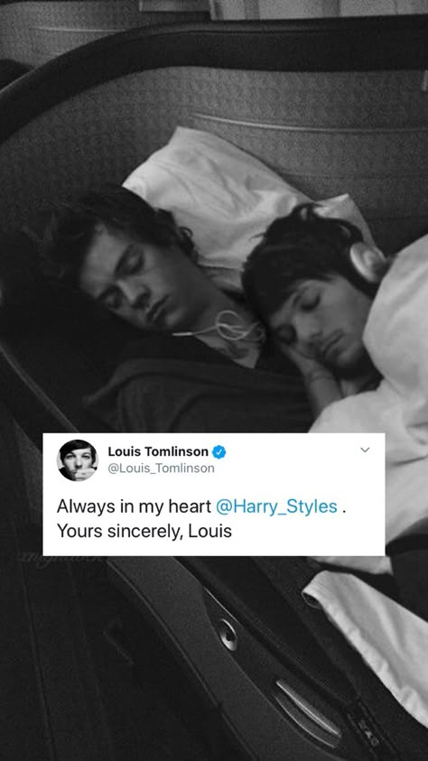 Larry Stylinson Wallpaper, Larry Wallpaper, Larry Pics, Harry Styles Louis Tomlinson, Harry And Louis, Louis Harry, Harry Louis, Larry Stylinson, Two People