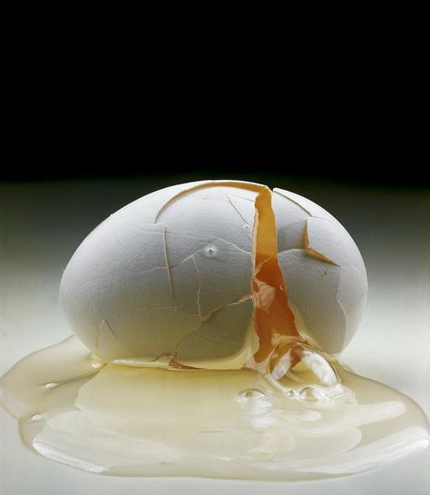 Fashion Fotografie, Broken Egg, Irving Penn, Cracked Egg, Object Photography, Still Life Photos, Egg Art, Realistic Paintings, Foto Art