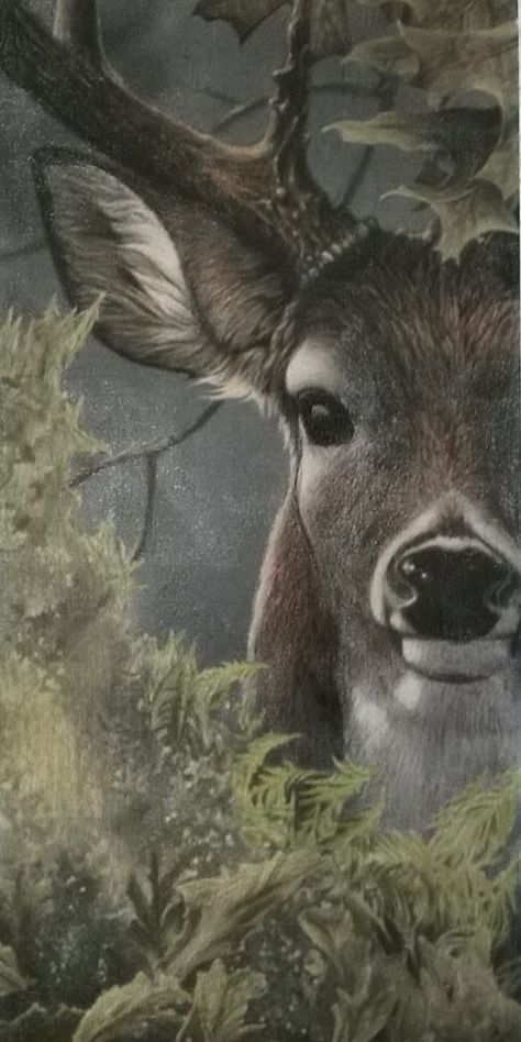 Goat Photography Beautiful, Acrylic Painting Farm Animals, Deer Art Painting, Deer Paintings, Deer Pics, Painted Deer, Deer Photography, Gorgeous Animals, Deer Photos