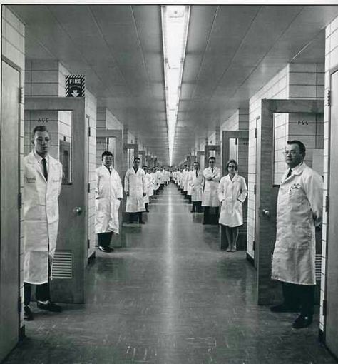 Similarly styled corporate group photos from the 1950s and 60s, emphasizing the long, windowless hallway of the office building Elliott Erwitt Photography, Bell Labs, Images Terrifiantes, Vibe Board, Mental Asylum, Elliott Erwitt, Insane Asylum, Creepy Pictures, Lab Coats