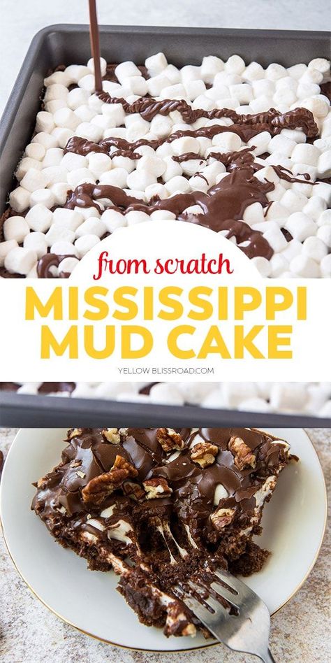 Mud Cake Recipe, Chocolate Glaze Recipes, Gooey Chocolate Cake, Mississippi Mud Cake, Mud Cake Recipes, Mississippi Mud, Chocolate Sheet Cake, Sheet Cake Recipes, Mud Cake