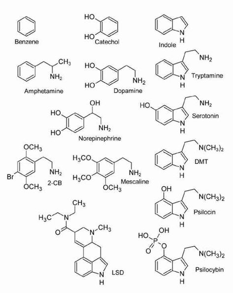 Molecular dump - Imgur Chemical Structure Art, Chemical Structure Tattoo, Chemical Tattoo, Chemistry Tattoo, Molecule Art, Organic Chemistry Study, Science Tattoo, Molecule Tattoo, Information Theory