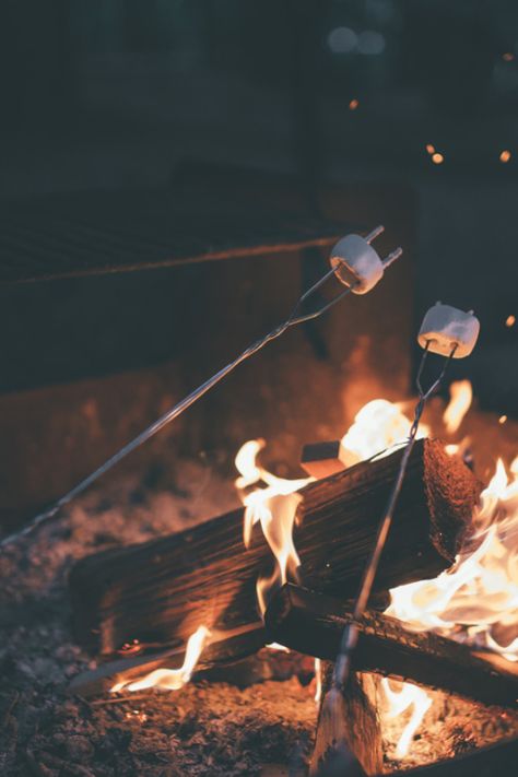 earth-dream: Roasting Marshmallows James Nachtwey, Pumpkin Cottage, Camping Friends, Camping Photography, Camping Aesthetic, Fire Photography, Dipper Pines, Roasting Marshmallows, Bonfire Night