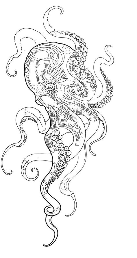 Octopus Tattoo Outline, Octopus Tattoo Stencil, Octopus Back Tattoo, Ocean Tattoos Men, Kraken Tattoo Design, Japanese Dragon Outline, Octopus Stencil, Octopus Outline, Koi Fish Drawing Tattoo