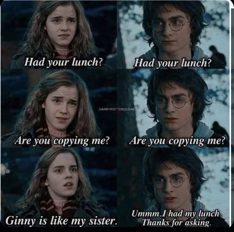 Harry Potter And His Friends, Classe Harry Potter, Harry Potter Voldemort, Funny Harry Potter Jokes, Harry Potter Memes Hilarious, Harry Potter Spells, Harry Potter Feels, Harry Potter Puns, Harry Potter Scene