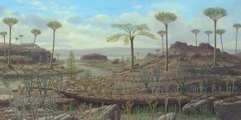 Early and Middle Devonian Period, 416-385 million years ago. Unnerving Art, Prehistoric Garden, Plant Evolution, Prehistoric Plants, Prehistoric Landscape, Devonian Period, Prehistoric Wildlife, Prehistoric World, Prehistoric Art