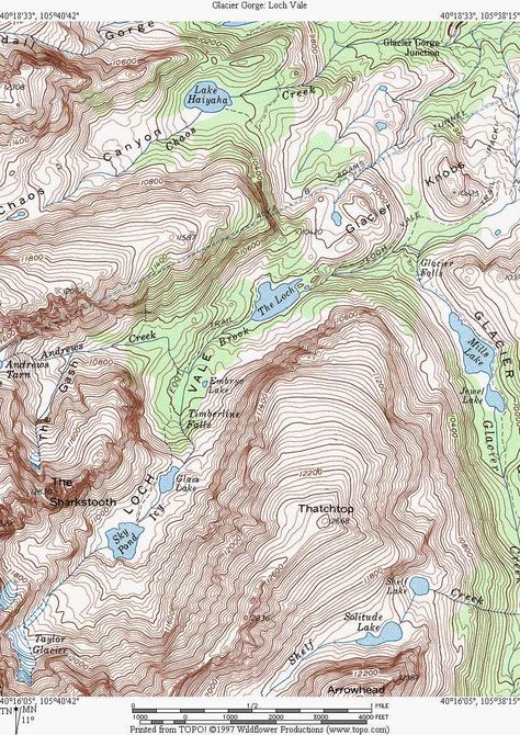 Topo map for the Bear Lake Trails Lake Topography Map, Topography Map, Forest Map, Global Map, Map Compass, Physical Geography, Geography Lessons, Hiking Map, Conceptual Architecture