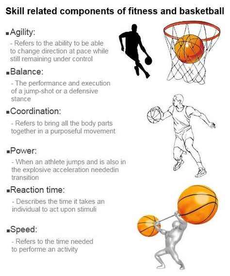 Skill related components of fitness and basketball Skill Related Components Of Fitness, Basketball Training At Home, Basketball Positions On Court, Kindergarten Basketball, Basketball Positions, Youth Basketball Drills, Components Of Fitness, Basketball Stats, Basketball Athlete