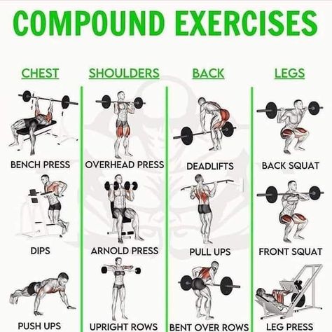 Pull Day Workout, Full Body Workout Plan, Fitness Studio Training, Workout Gym Routine, Full Body Dumbbell Workout, Workout Program Gym, Gym Antrenmanları, Lifting Workouts, Weight Lifting Workouts