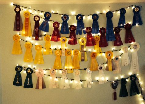 Too many show ribbons. Equestrian DIY Equestrian Rosette Display, Horseshow Ribbon Display Ideas, Horseback Riding Ribbon Displays, Ribbon Hanging Ideas Horse, Ideas Of Things To Do With Old Horse Show Ribbons, Horse Show Ribbon Ideas, What To Do With Horse Show Ribbons, Show Ribbons Ideas, Equestrian Ribbon Wall