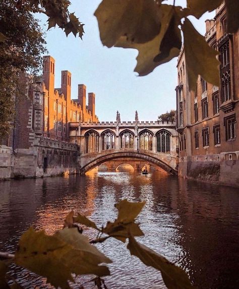 Cambridge College, St Johns College, England Aesthetic, Places In England, Cambridge England, Inspire Me Home Decor, Places In Europe, The Muse, Oxford University