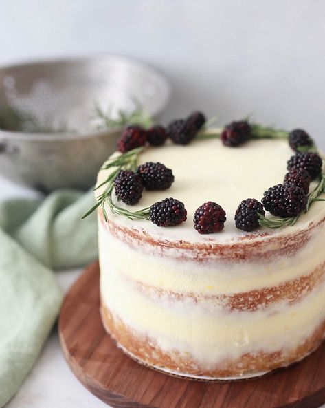 Essen, Lemon Rosemary Olive Oil Cake, Rosemary Olive Oil Cake, Lemon Rosemary Cake, Blackberry Curd, Mascarpone Buttercream, Olive Oil Cake Recipe, Rosemary Olive Oil