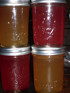 ~Simply Loving Home~: November Can Jam.... Apple Cider Jelly Tangerine Jelly, Canning Apples, Leftover Apples, Can Jam, Canning Ideas, Apple Jelly, Canning Food, Canning Jam, Canned Goods