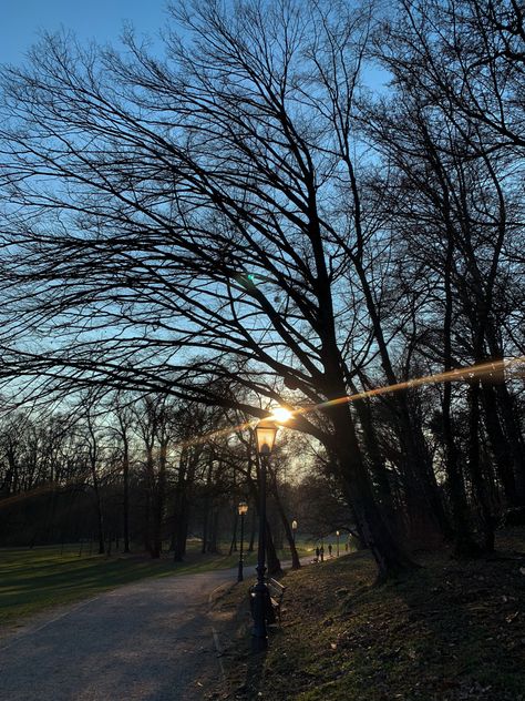 Cold Forest, Sunset Walk, Sun Aesthetic, Forest Aesthetic, Cold Morning, Winter Sunset, Cold Spring, Winter Mornings, Winter Sun