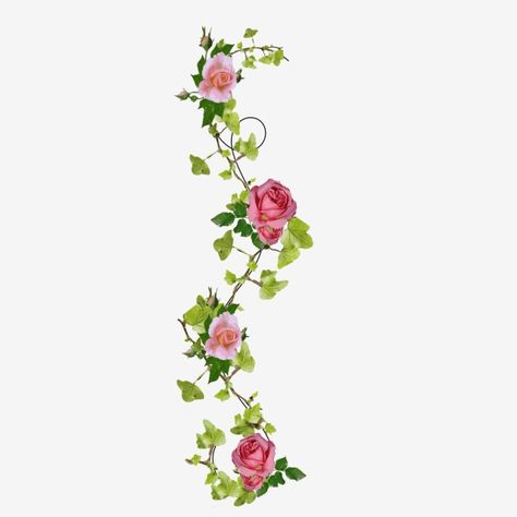 roses,flower,pink,ivy,green,decoration,beautiful,flower border,fresh,floral Pink Flower Border, Rose Vine Tattoos, Ivy Flower, Vine Drawing, Roses Clipart, Green Decoration, Flower Png Images, Ivy Rose, Flower Garland Wedding