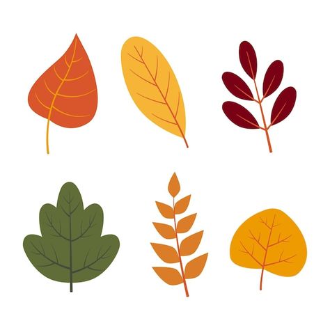 Vector hand drawn autumn leaves illustra... | Premium Vector #Freepik #vector Autumn Leaves Clipart, Animated Leaves, Autumn Leaves Drawing, Fall Leaves Illustration, Autumn Leaves Illustration, Cartoon Leaves, Leaves Cartoon, Fall Leaves Drawing, Cartoon Leaf