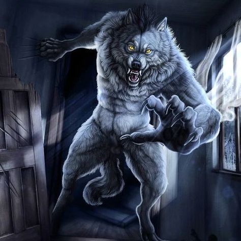 I Am The Alpha, Werewolf Illustration, Wolf Meme, Alpha Werewolf, Thats Me, The Werewolf, Wolf Images, Alpha Wolf, Werewolf Art