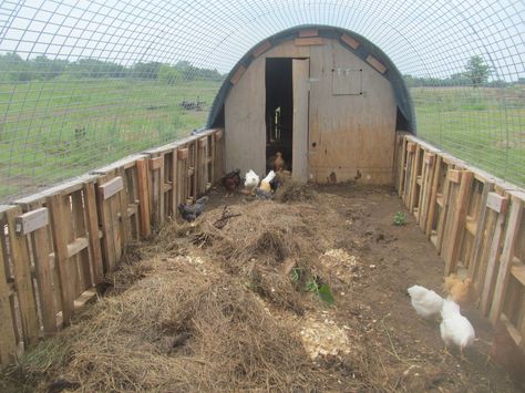 [ IMG] Duck Keeping, Chicken Coop Inside, Hoop Coop, Chicken Coop Bedding, Turkey House, Goat Shed, Livestock Shelter, Khmer Tattoo, Turkey Farm