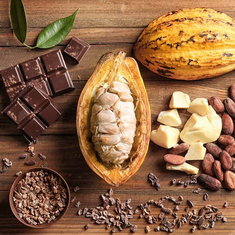 Cocoa Plant, Tea Tree Oil Soap, Chocolate Malt, Types Of Chocolate, Raw Cacao, Cocoa Seeds, Theobroma Cacao, Chocolate Raspberry, How To Make Tea