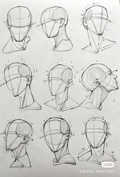 Human Body Drawing, 얼굴 드로잉, Human Anatomy Drawing, Head And Shoulders, Human Anatomy Art, Sketches Tutorial, Art Tools Drawing, Easy Drawings Sketches, Concept Art Drawing