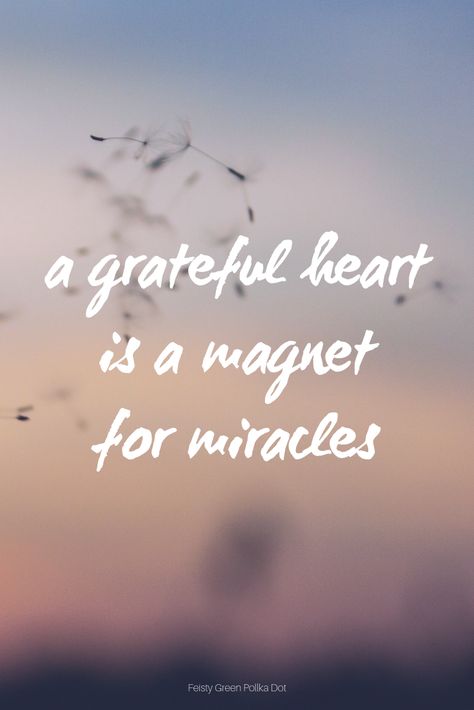 Gratitude Quotes Thankful, Miracle Quotes, Grateful Quotes, Thankful Quotes, 20th Quote, Gratitude Affirmations, Thanksgiving Quotes, Gratitude Quotes, Grateful Heart