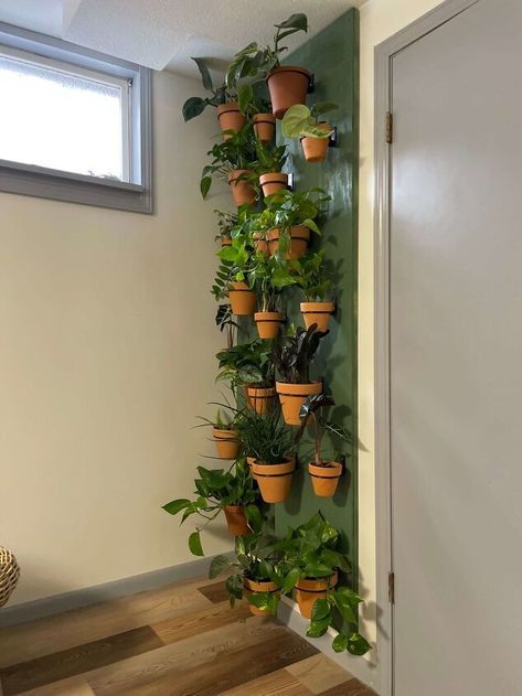 Living Plant Wall, Plant Wall Diy, Pots Plants, Inch Plant, Indoor Plant Wall, Wall Plant Hanger, Plant Wall Decor, Hanging Plant Wall, Easy Care Plants