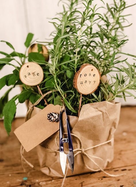 DIY Kitchen Herb Garden Gift Idea Herbs Gift Ideas, Planting Gift Basket, Diy Christmas Food Baskets, Herb Plant Gift Ideas, Housewarming Plant Gift, Herb Garden Gift Ideas Diy, Herb Basket Gift Ideas, Christmas Plant Ideas, Wrapping A Plant For A Gift