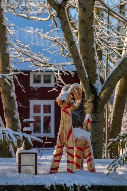 Yule Alter, Tradition Aesthetic, Yule Pagan, Pagan Aesthetic, Yule Traditions, Viking Christmas, Yule Goat, Pagan Yule, Celtic Christmas