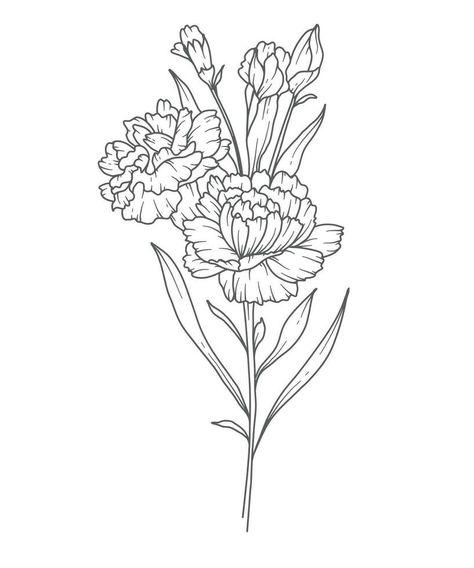 Simple Carnation Tattoo Design, Fine Line Carnation, Carnation Flower Outline, Carnation Line Art, Carnation Outline, Carnation Flower Drawing, Carnation Drawing, January Birth Month Flower, Carnation Flower Tattoo