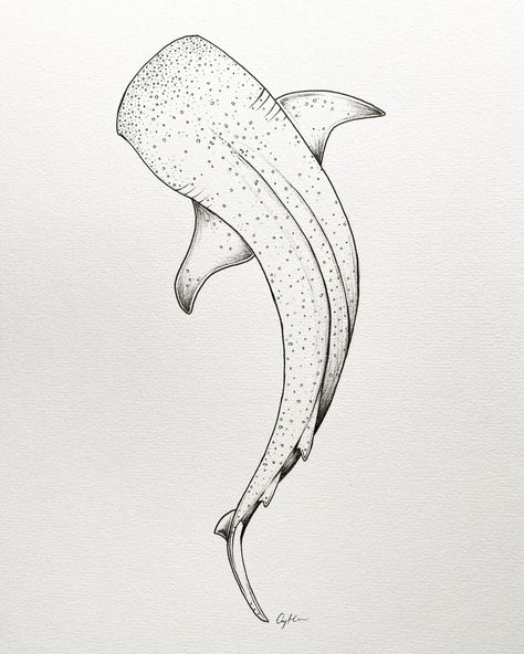 Small Shark Drawing, Ocean Themed Back Tattoo, Box Fish Tattoo, Marine Animals Tattoo, Whale Shark Tattoo Design, Ocean Themed Tattoos, Whale Shark Drawing, Theme Tattoos, Ocean Theme Tattoos