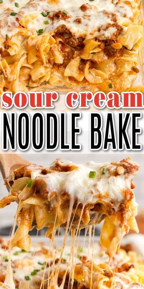 Sour Cream Pasta, Savory Casserole, Sour Cream Noodle Bake, Noodle Bake, Creamed Beef, Pasta Casserole Recipes, Noodle Casserole Recipes, Cream Pasta, Sour Cream Recipes