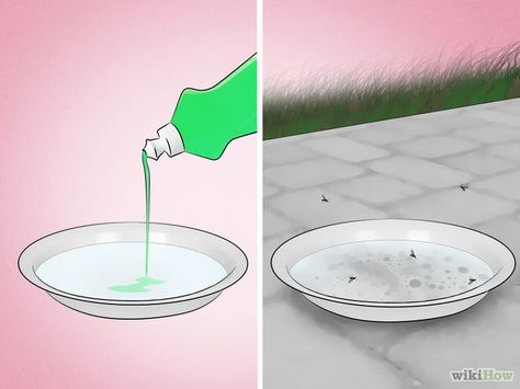 How to Get Rid of Mosquitoes Indoor Mosquito Repellent, Indoor Mosquito Trap, Mosquito Trap Diy, Repellent Diy, Mosquitoes Remedies, Mosquito Repellent Homemade, Mosquito Traps, Diy Mosquito Repellent, Natural Mosquito Repellant