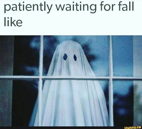 patiently waiting for fall like – popular memes on the site iFunny.co #seasons #animalsnature #patiently #waiting #fall #pic Waiting For Fall, Halloween Rules, Fall Sayings, Halloween Antiques, Spooky Memes, October Country, Fall Memes, Halloween Jokes, Horror Fanatic