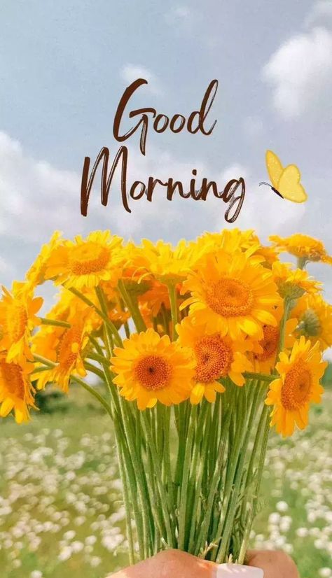 Good Morning With Flowers, Good Morning Summer, Dasara Wishes, Gd Mrng, Good Morning Pics, Morning Hugs, Good Morning Posters, Good Morning Massage, Create Your Own Sunshine