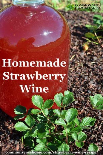 Strawberry Wine Recipe, Wine Making Recipes, Homemade Wine Recipes, Homemade Alcohol, Homemade Liquor, Wine Recipe, Moonshine Recipes, Strawberry Season, Strawberry Wine