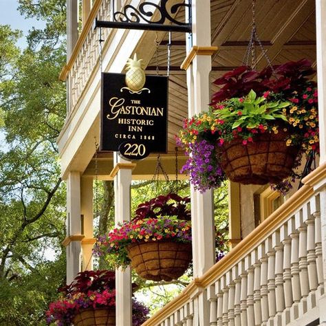 There's plenty to see and do in this historic city, but why not stay in style by booking this bed-and-breakfast? Located just a short walk to Savannah's beautiful Forsyth Park, The Gastonian is the epitome of antebellum hospitality. #mothersday #travel #southernliving Bed N Breakfast, Honeymoon Tips, Best Bed And Breakfast, Blackberry Farms, Mother Daughter Trip, Southern Travel, Forsyth Park, Bed And Breakfast Inn, Magnolia Homes