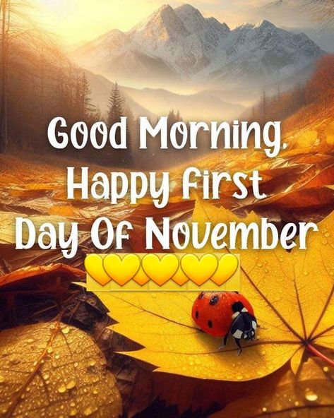 Happy First Day Of November, Ladybug On Leaf, First Day Of November, November Pictures, Days Of The Month, Tumblr Image, Good Morning Happy, Social Networking Sites, Facebook Image